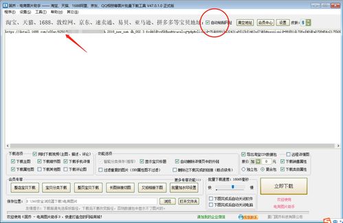 怎么操作亚马逊无货源店铺,无货源网店怎么开