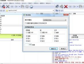 飞飞cms如何安装